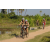 Team 26 / Raid l'Arbre Vert Cambodge - VTT