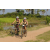 Team 26 / Raid l'Arbre Vert Cambodge - VTT