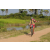 Team 79 / Raid l'Arbre Vert Cambodge - VTT