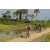 Team 44 / Raid l'Arbre Vert Cambodge - VTT