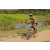 Team 44 / Raid l'Arbre Vert Cambodge - VTT