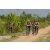 Raid l'Arbre Vert Cambodge - VTT