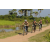 Team 56 / Raid l'Arbre Vert Cambodge - VTT