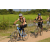 Team 56 / Raid l'Arbre Vert Cambodge - VTT