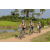 Team 03 / Raid l'Arbre Vert Cambodge - VTT