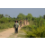 Team 85 / Raid l'Arbre Vert Cambodge - VTT