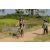 Team 86 / Raid l'Arbre Vert Cambodge - VTT
