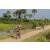 Team 86 / Raid l'Arbre Vert Cambodge - VTT
