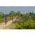 Team 06 / Raid l'Arbre Vert Cambodge - VTT