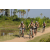 Team 45 / Raid l'Arbre Vert Cambodge - VTT