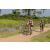 Team 45 / Raid l'Arbre Vert Cambodge - VTT