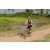 Team 45 / Raid l'Arbre Vert Cambodge - VTT