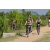 Team 58 / Raid l'Arbre Vert Cambodge - VTT