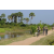 Team 58 / Raid l'Arbre Vert Cambodge - VTT
