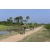 Team 46 / Raid l'Arbre Vert Cambodge - VTT
