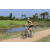 Team 46 / Raid l'Arbre Vert Cambodge - VTT