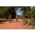 Raid l'Arbre Vert Cambodge - VTT