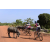 Raid l'Arbre Vert Cambodge - VTT