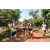 Team 33 / Raid l'Arbre Vert Cambodge - VTT