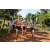 Team 41 / Raid l'Arbre Vert Cambodge - VTT