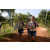 Team 12 / Raid l'Arbre Vert Cambodge - VTT