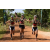 Team 37 / Raid l'Arbre Vert Cambodge - VTT