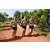 Team 30 / Raid l'Arbre Vert Cambodge - VTT