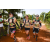 Team 67 / Raid l'Arbre Vert Cambodge - VTT