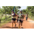 Team 81 / Raid l'Arbre Vert Cambodge - VTT