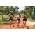 Team 26 / Raid l'Arbre Vert Cambodge - VTT