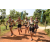 Team 55 / Raid l'Arbre Vert Cambodge - VTT