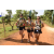 Team 85 / Raid l'Arbre Vert Cambodge - VTT