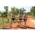 Team 16 / Raid l'Arbre Vert Cambodge - VTT