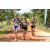 Team 54 / Raid l'Arbre Vert Cambodge - VTT