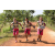 Team 79 / Raid l'Arbre Vert Cambodge - VTT