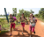 Team 79 / Raid l'Arbre Vert Cambodge - VTT