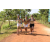 Team 48 / Raid l'Arbre Vert Cambodge - VTT