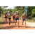 Team 52 / Raid l'Arbre Vert Cambodge - VTT
