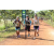 Team 31 / Raid l'Arbre Vert Cambodge - VTT