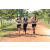 Team 61 / Raid l'Arbre Vert Cambodge - VTT