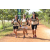 Team 83 / Raid l'Arbre Vert Cambodge - VTT