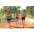 Team 21 / Raid l'Arbre Vert Cambodge - VTT