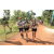 Team 22 / Raid l'Arbre Vert Cambodge - VTT