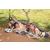Team 09 / Raid l'Arbre Vert Cambodge - VTT