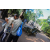 Raid l'Arbre Vert  Cambodge - Chasse au Trésor