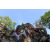 Raid l'Arbre Vert  Cambodge - Chasse au Trésor