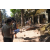 Raid l'Arbre Vert  Cambodge - Chasse au Trésor