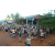 Raid l'Arbre Vert Cambodge - VTT
