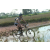Team 28 / Raid l'Arbre Vert Cambodge - VTT
