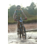 Team 76 / Raid l'Arbre Vert Cambodge - VTT